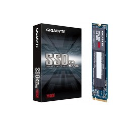 Gigabyte 256GB NVMe M.2 SSD